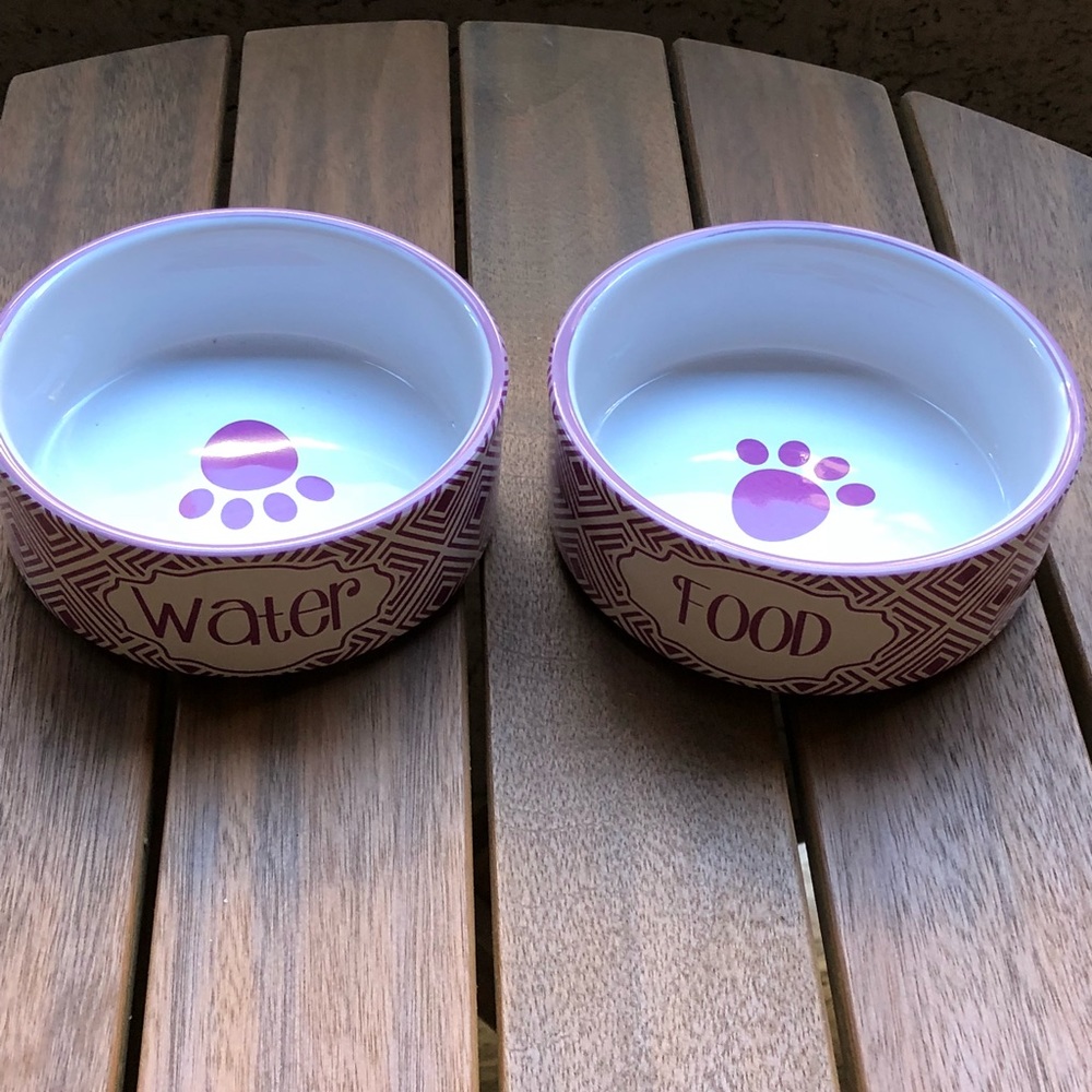 Dog Bowl